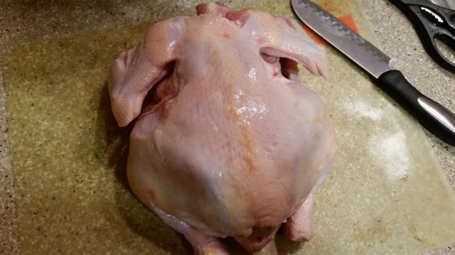 Your bird, breast-down, ready to be spatchcocked!